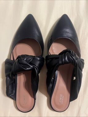 Lewit Black Knot-Detail Pointed Toe Women’s Flats